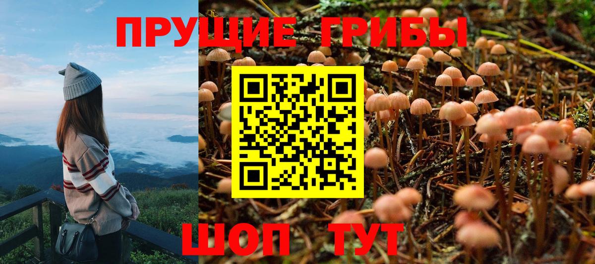 Галлюциногенные грибы MAGIC MUSHROOMS  Вход с VPN  магазин  наркотиков  Назарово  Псилоцибиновые грибы Magic Shrooms 